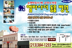 앰바서더동물병원