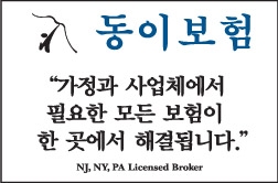 동이보험
