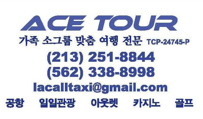 에이스투어리모