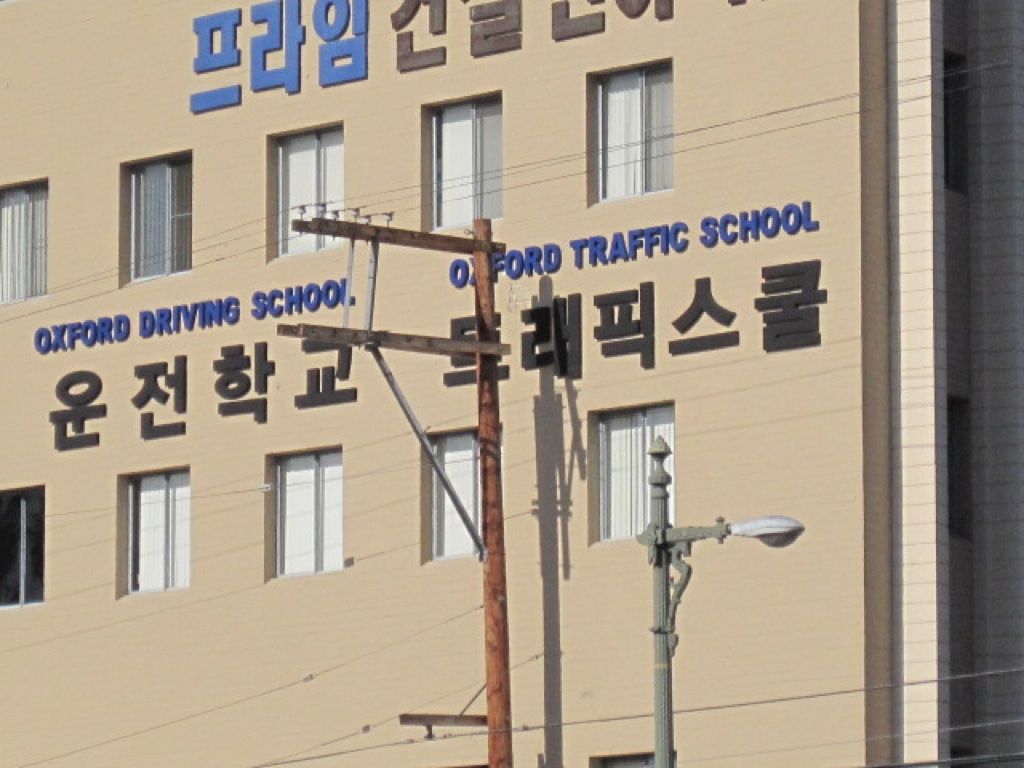 옥스포드운전학교