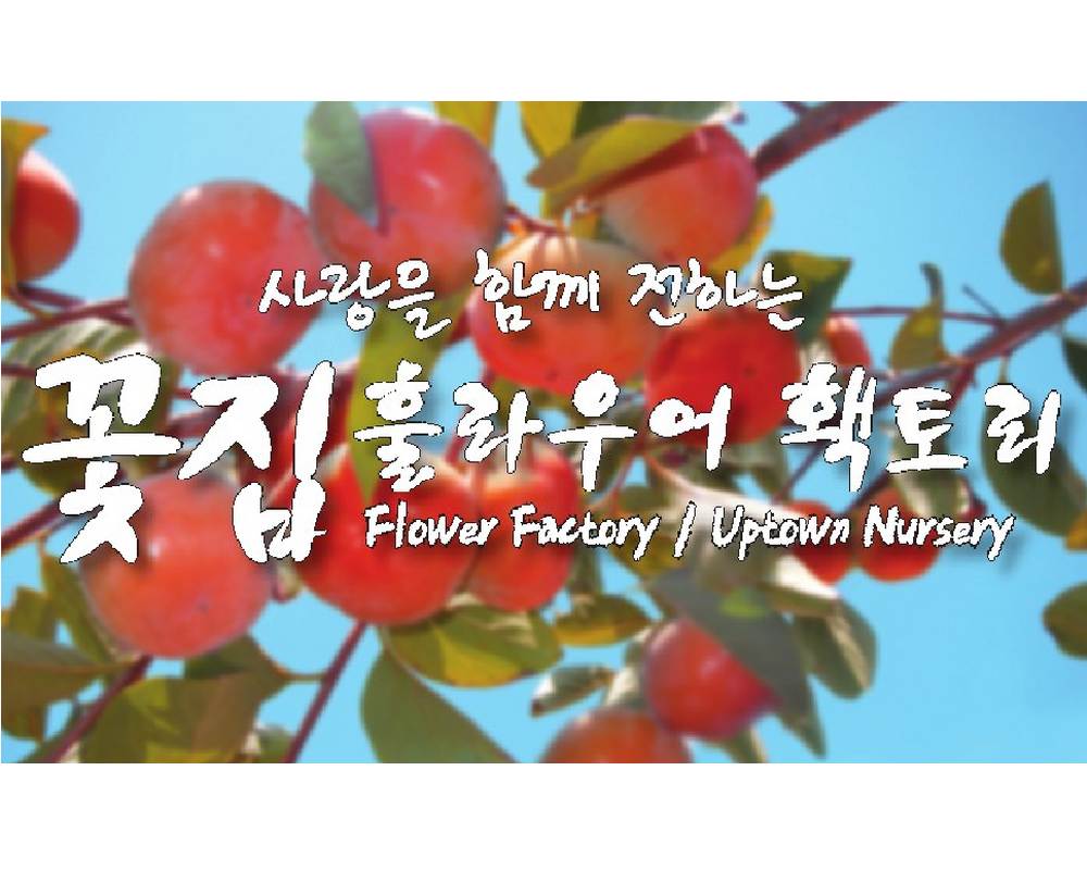 플라워팩토리(화원,꽃)