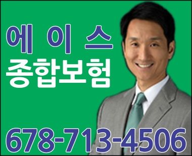 에이스 종합보험