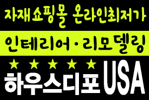 하우스디포유에스에이