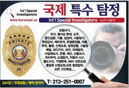 국제특수탐정