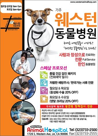 웨스턴동물병원
