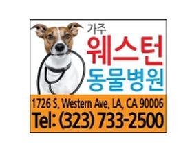 가주웨스턴동물병원