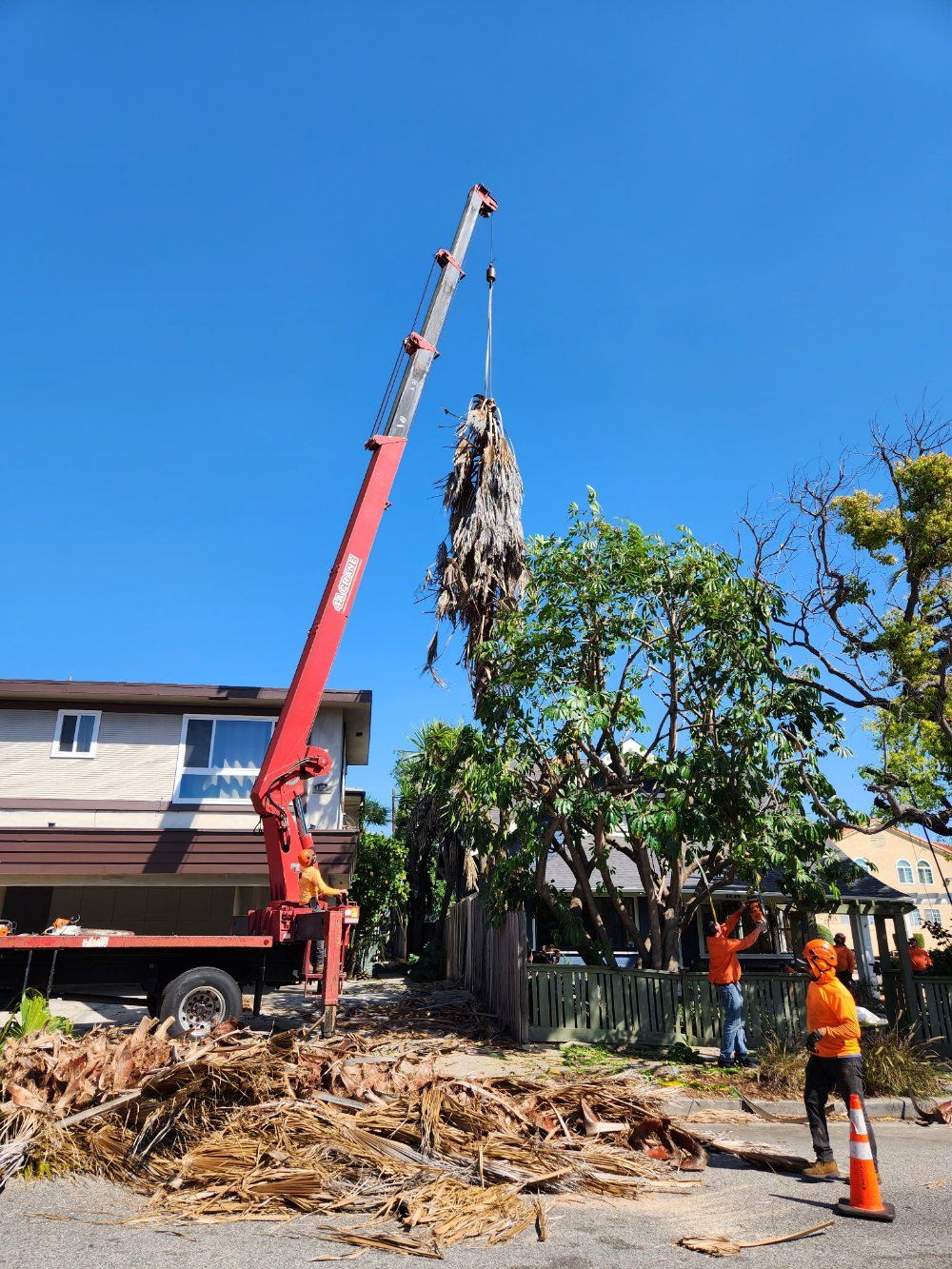 .